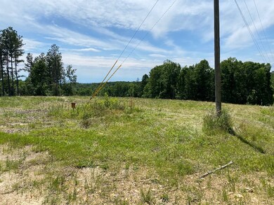 0 Mathis Cemetery Rd unit RTC2620108, Stewart, TN 37175 - photo 5