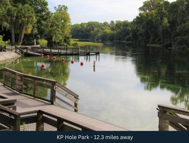 0 SW 45th Lane Rd unit MFRTB8450661, Ocala, FL 34481 - photo 5