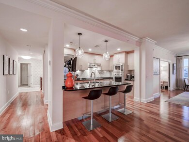 The Ritz-Carlton Residences, Baltimore, MD 21230 - photo 4