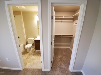 Downstairs Bath & Closet