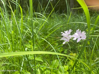 NNA Red Fir Rd, Athol, ID 83801 - photo 5
