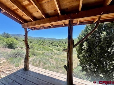 4915 Road 31, Cahone, CO 81320 - photo 5