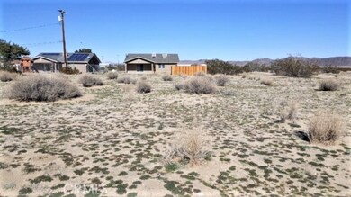 64994 Tonto Dr, Joshua Tree, CA 92252 - photo 3