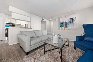 Open Concept