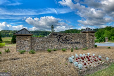 190 Split Creek, Morganton, GA 30560 - photo 2