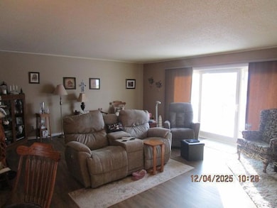 1429 16th Ave N, Wahpeton, ND 58075 - photo 2