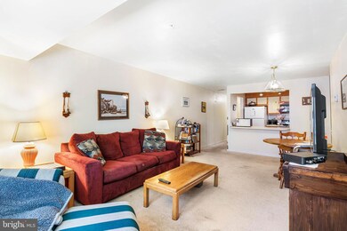 1025 N Madison St unit 101, Wilmington, DE 19801 - photo 3