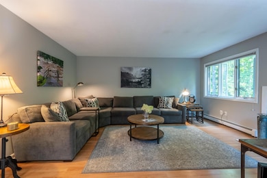 66 Kingfisher Rd, Quechee, VT 05059 - photo 6