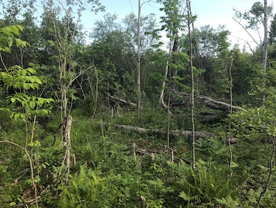 Sec: 2 TWP: 61.0 RG:, Alango Township, MN 55703 - photo 5