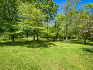 3153 U S 65, Harrison, AR 72601 - photo 4