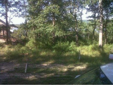 Lot 57 Summer Rd, Ruth B Rural Township, MO 65686 - photo 3