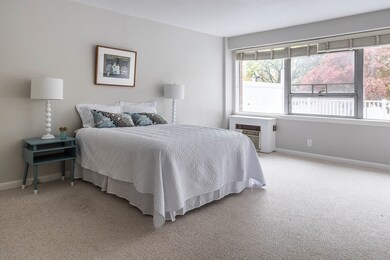 Hammond Park Condominiums unit 108, Chestnut Hill, MA 02467 - photo 6