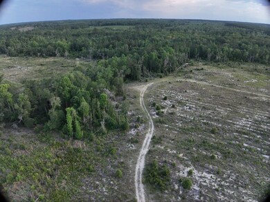 S S Old Reidsville Rd, Twin City, GA 30471 - photo 3