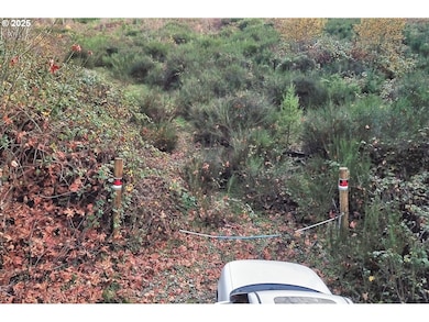 0 SW Eagle Point Rd, Sheridan, OR 97378 - photo 2