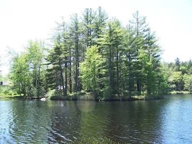 77 Scott Pond Rd, Fitzwilliam, NH 03447 - photo 7