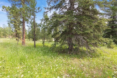 tbd Candlewood Ln unit Powerhouse Pass, South Lawrence, SD 57754 - photo 5