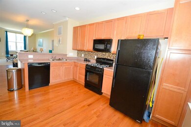 3095 Chinkapin Oak Ln unit 51, Woodbridge, VA 22191 - photo 6