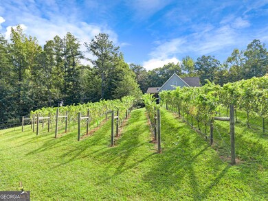 299 Happy Trails Way, Jasper, GA 30143 - photo 4