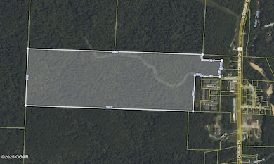 Tbd Redwood Ln, Noel, MO 64854 - photo 2