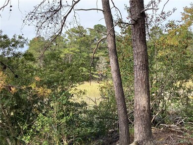 View of nature