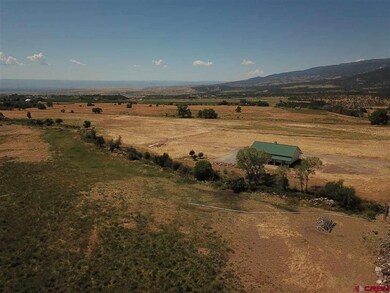 22690 Sweet Clover Rd, Cedaredge, CO 81413 - photo 7