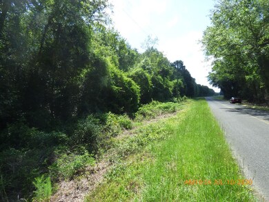 Looking Southeast on Old Shoals Road