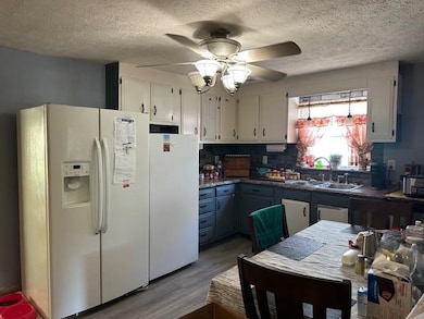 11 Paddy Hollow Rd, Lavalette, WV 25535 - photo 4