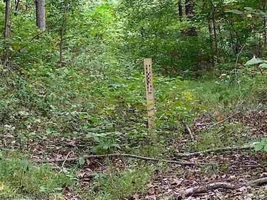TBD Helens Run Rd, Worthington, WV 26591 - photo 3