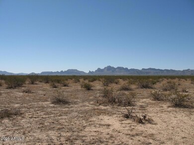 Tonopah 5