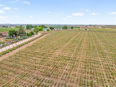 0 Tbd Peckham Rd, Wilder, ID 83676 - photo 5