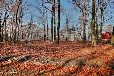 449 Evergreen Ln, Catawissa, PA 17820 - photo 4