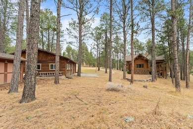 12265 Bavarian Ct, Custer, SD 57730 - photo 5