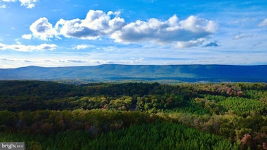 152.44 Acres Lot 2 Laurel Grove Rd, Winchester, VA 22602 - photo 3