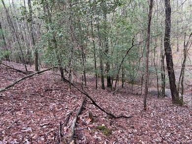 LT2756 Medina Ct, Ellijay, GA 30540 - photo 4