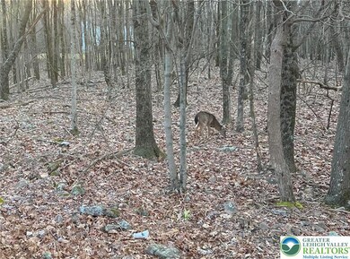 121 Piute Trail unit CP1002, Penn Forest Township, PA 18210 - photo 4