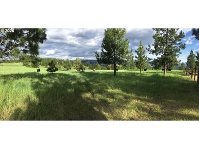 unlisted-address, Weston, OR 97886 - photo 2