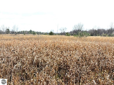 Unit 4 North St, Thompsonville, MI 49683 - photo 2