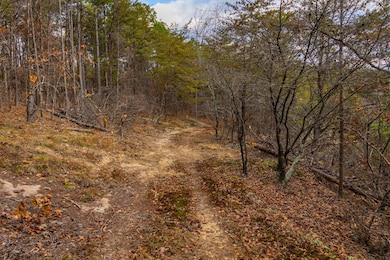 23 Acres County Road 3217, Haleyville, AL 35565 - photo 4