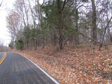 13ac Upper Crab Rd, Jamestown, TN 38556 - photo 4