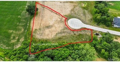 907 Christina Way, Waterloo, IL 62298 - photo 5