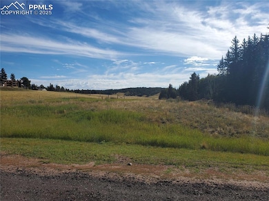 309 Pinaceae Heights, Divide, CO 80814 - photo 2