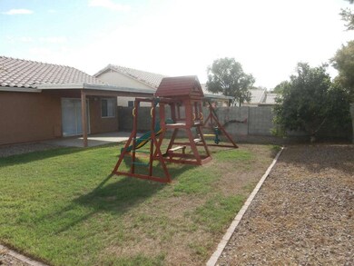 Backyard2