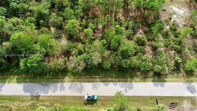 26377 Deer Rd, Punta Gorda, FL 33955 - photo 4