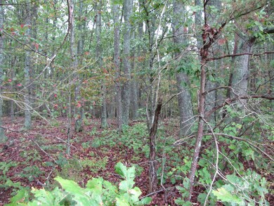 Barker Property