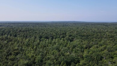 0 Kimball Camp Rd unit 11531903, Orwell, NY 13426 - photo 4