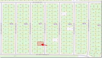 3182swDimattia_plat_3