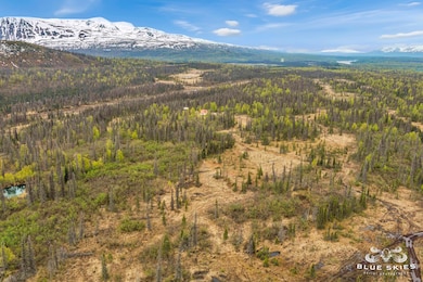 E Round Top Rd, Talkeetna, AK 99676 - photo 4