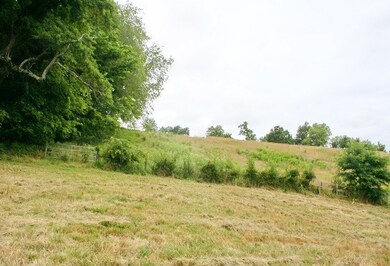 BACK PROPERTY LINE WITH GOOD FENCING AND GATES