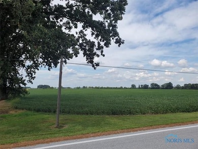 0 State Highway 53 unit 6132082, Upper Sandusky, OH 43351 - photo 5