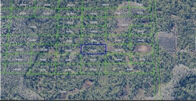 0 Dill Rd unit MFRO6247900, Orlando, FL 32820 - photo 6